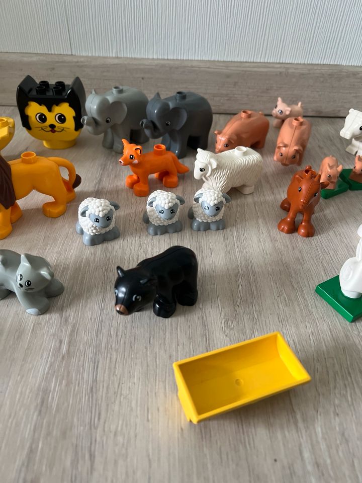 Lego Tiere in Heilbad Heiligenstadt