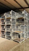 diverse DB Gitterboxen Metallboxen Boxen Holz Brennholz Paletten Niedersachsen - Aurich Vorschau