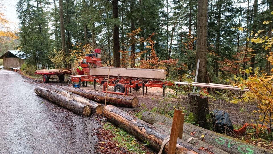 Mobiles Sägewerk, Lohnschnitt, Käferholz, Bauholz, Blockbandsäge in Meßstetten