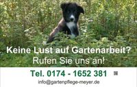 Professionelle Gartenpflege für Privat- und Gewerbeanlagen Löwenberger Land - Nassenheide Vorschau