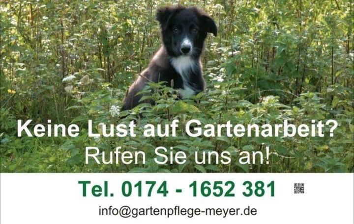 Professionelle Gartenpflege für Privat- und Gewerbeanlagen in Nassenheide