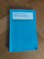 Der Schimmelreiter Lektürenschlüssel Baden-Württemberg - Rheinmünster Vorschau