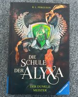 Buch "Die Schule der Alyxa" Band 1: Der dunkle Meister *wie neu* Berlin - Treptow Vorschau