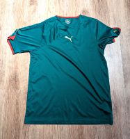 Puma Trikot "Art Kamerun" Bayern - Zell am Main Vorschau