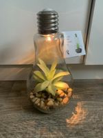 NEU Terrarium- Lampe mit Licht Rheinland-Pfalz - Kaiserslautern Vorschau