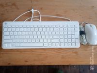 HP USB Maus und Tastatur Sachsen - Chemnitz Vorschau