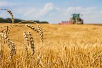 Landwirtschaftliche Fläche bietet ideale Bedingungen für Ertrag und Wachstum Nordrhein-Westfalen - Ennigerloh Vorschau