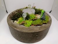 Mini Garten Beton Sukkulenten Dekoration Totoro Thüringen - Oberdorla Vorschau