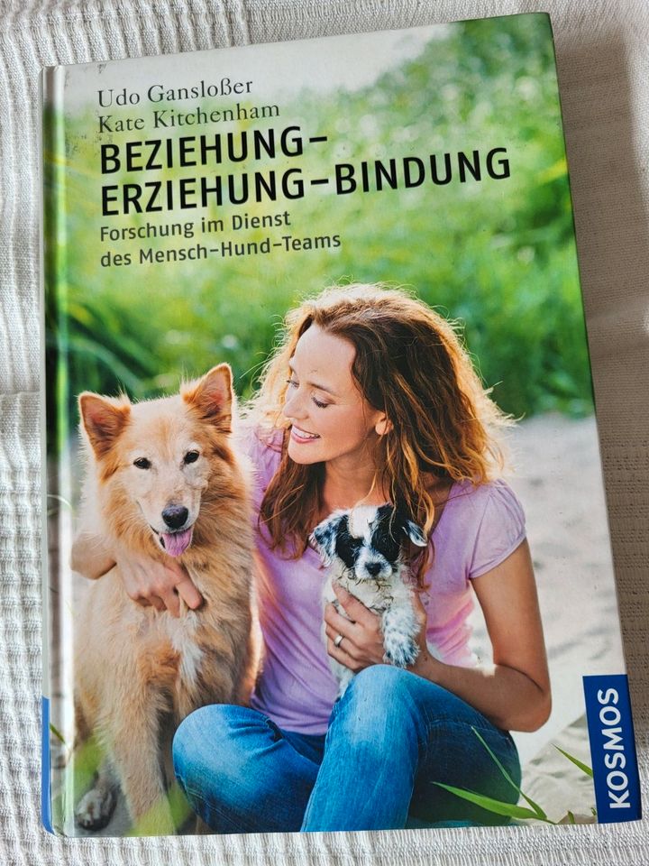 Buch: Beziehung-Erziehung- Bindung , Gansloßer, Kitchenham in Monheim am Rhein