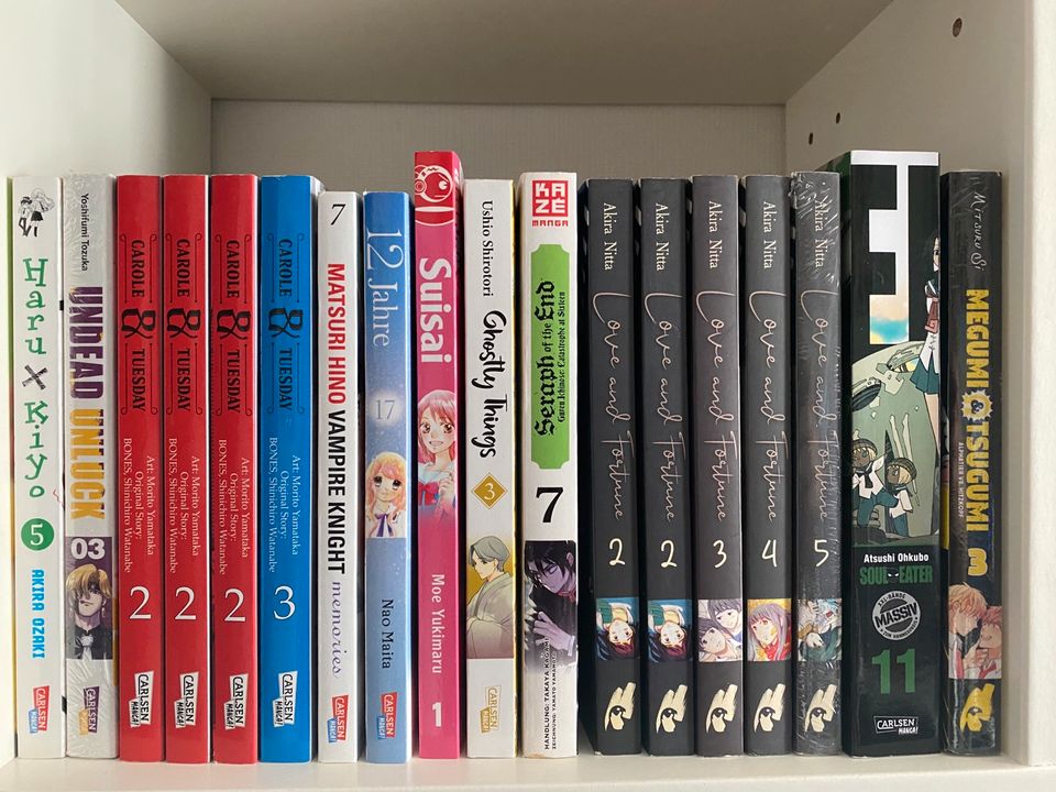 Anime/Manga/Bücher Sammlung, alles muss raus in Barsbüttel