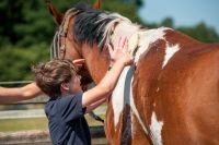 Reiter - Camps, reiten, Ferienkurse, Reiterferien Kreis Pinneberg - Holm Vorschau