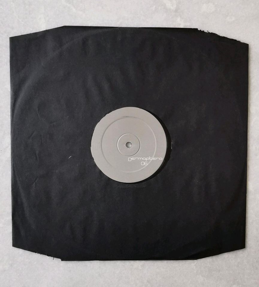 Techno Sammlung Vinyl Schallplatten in Coburg