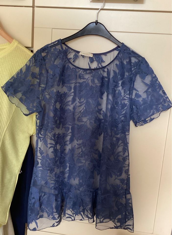 Edles Shirt aus Spitze von Oroblu in Hamburg