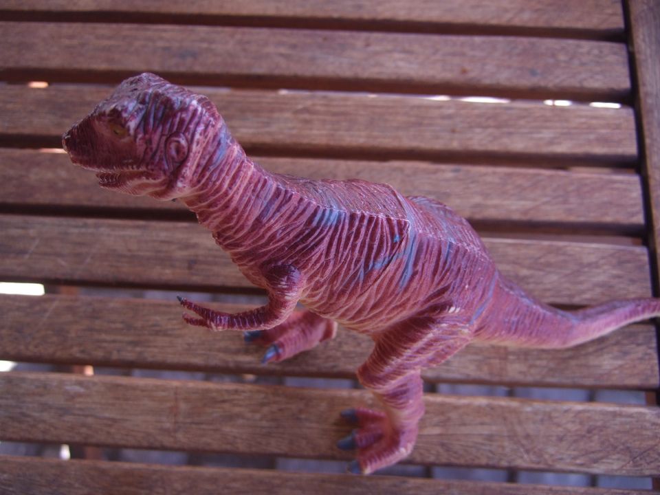 Dinosaurier in Sehlem