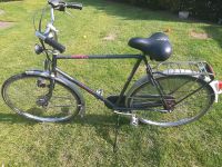 Batavus Florence Hollandrad Fahrrad Nordrhein-Westfalen - Krefeld Vorschau