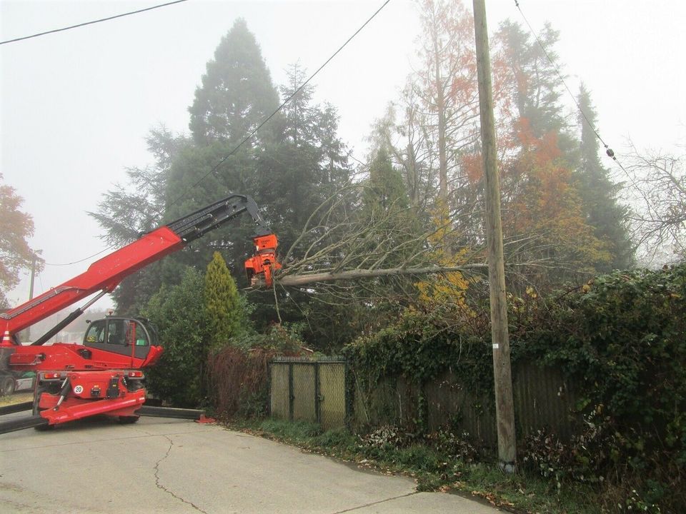 Sturmschaden Windbruch Baumfällung Baum - Kranfällung in Hanau