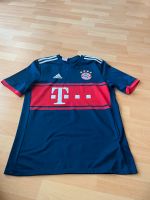 FC Bayern München Trikot Kinder Gr. 176 sehr guter Zustand Rheinland-Pfalz - Sienhachenbach Vorschau