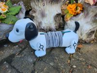 Hund Roboter Baden-Württemberg - Bad Mergentheim Vorschau