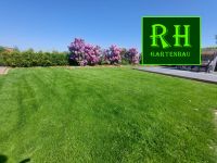 Rollrasen / Rasenneuanlage / Garten- und Landschaftsbau Nordrhein-Westfalen - Tönisvorst Vorschau