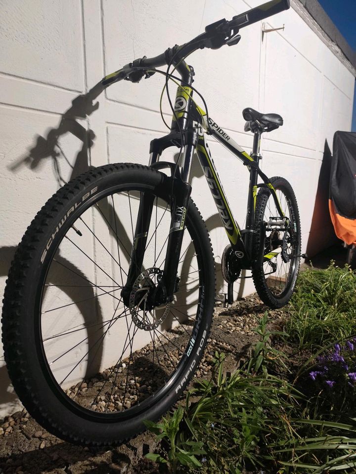 Kellys Spider 50 MTB 27,5 Zoll hardtail/carbon frame in Waltrop