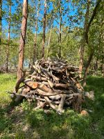 Kronenholz Käferholz Brennholz Kiefer trocken Sachsen - Nünchritz Vorschau