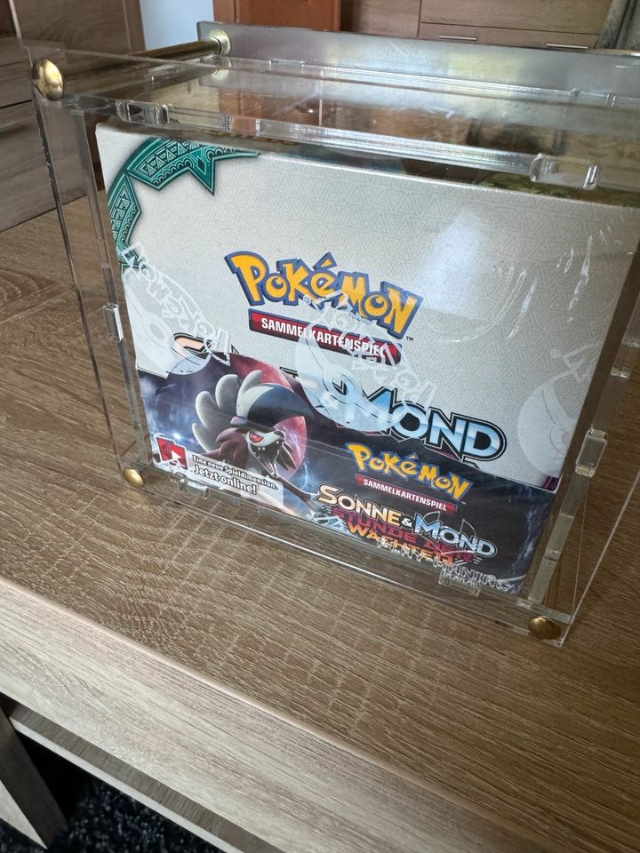 Pokémon Display 36er Stunde der Wächter in Satow