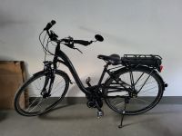 Carver Balance E-bike Rheinland-Pfalz - Kestert Vorschau