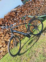 E Bike Bulls  Crossbike Trekking Fahrrad Bayern - Neukirchen vorm Wald Vorschau