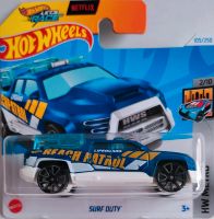 Neu SURF DUTY Hot Wheels 2024 Rheinland-Pfalz - Bad Bergzabern Vorschau