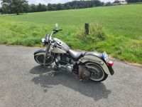 Harley Davidson Fat Boy  Bj 2004 mit Vergaser Nordrhein-Westfalen - Rietberg Vorschau