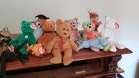 Beanie Babies Sammlung Set Hessen - Breuberg Vorschau