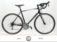 Giant Defy Rennrad Generalüberholt M/L Shimano Tiagra Gruppe München - Maxvorstadt Vorschau