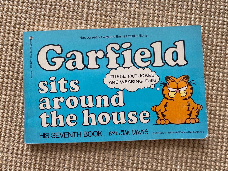 Ältere Hägar der Schreckliche + Garfield-Comics in Grasbrunn