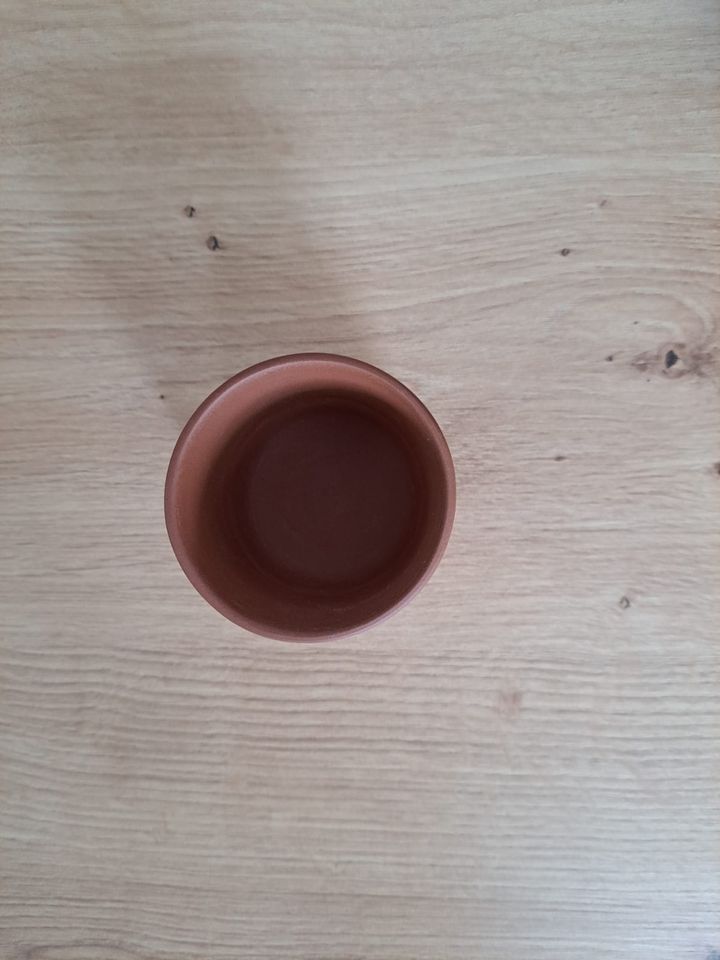 Teekultur. 5 Becher aus Ton, sehr guter Zustand, kaum benutzt in Heilbad Heiligenstadt