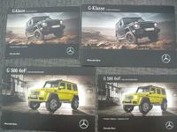 Prospekt Preisliste Mercedes G Klasse 350 Professional G 500 4x4² Niedersachsen - Wrestedt Vorschau