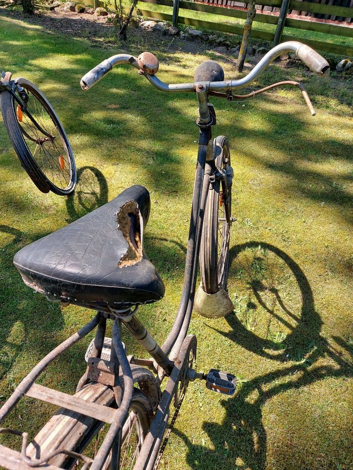 Historische Fahrräder NSU; BÜSSING-CUMBERLAND  50ziger Jahre? in Lachendorf