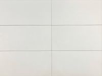 V&B Wandfliesen white glänzend 30 x 60 cm | 1. Sorte | DZ4193 Niedersachsen - Großefehn Vorschau