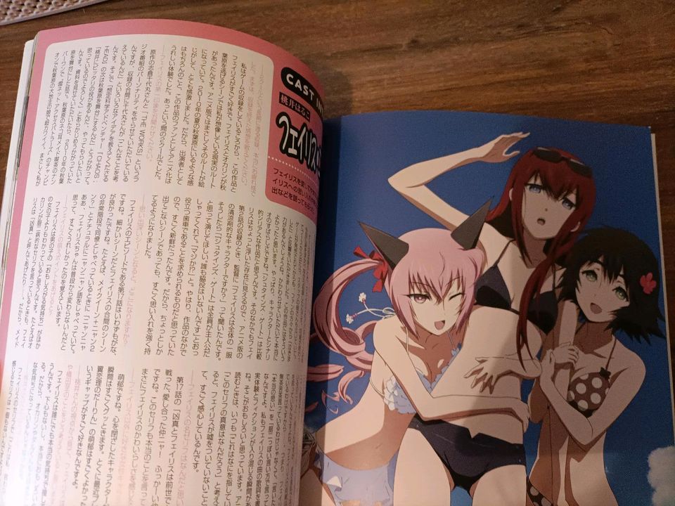 Steins Gate Anime Artbook Manga in Potsdam