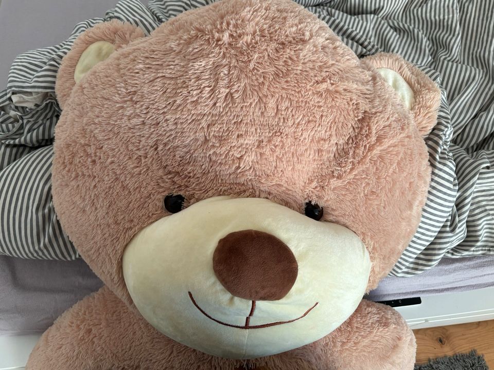 XXL Teddybär - 170 cm groß - sehr guter Zustand in Hamburg