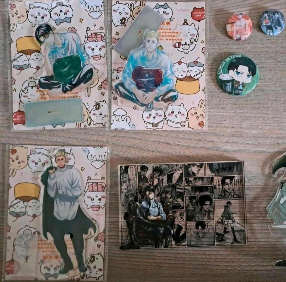Attack on the Figuren acryl Aufsteller hanji levi erwin eren in Haselünne