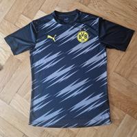 Trainingsshirt BVB_Größe: M_Saison: 2020-21 Berlin - Pankow Vorschau