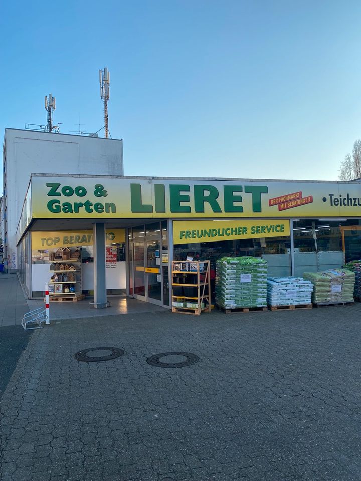 Rio 125 helles Holz, Neuware, Garten und Zoo Lieret in Mönchengladbach