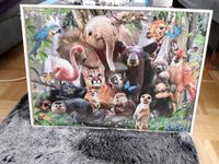 Puzzlebild Zoo, Tiere, unter Glas, Bild gut erhalten,  Kinder Essen - Essen-Stadtmitte Vorschau