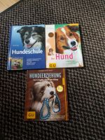 Bücher Hundeschule/Hundeerziehung Bayern - Altdorf bei Nürnberg Vorschau