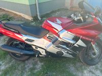 Honda CBR SC24 Baujahr.1998 Rot Sachsen-Anhalt - Haldensleben Vorschau