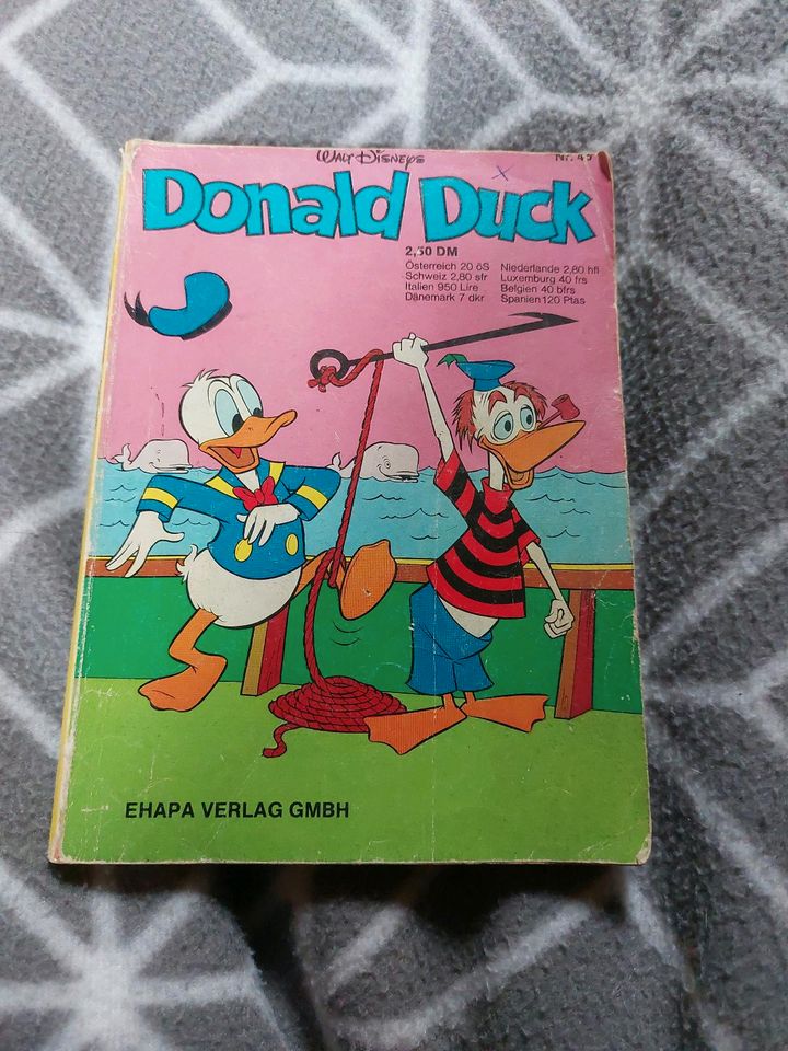 Donald Duck Buch Comic in Südbrookmerland