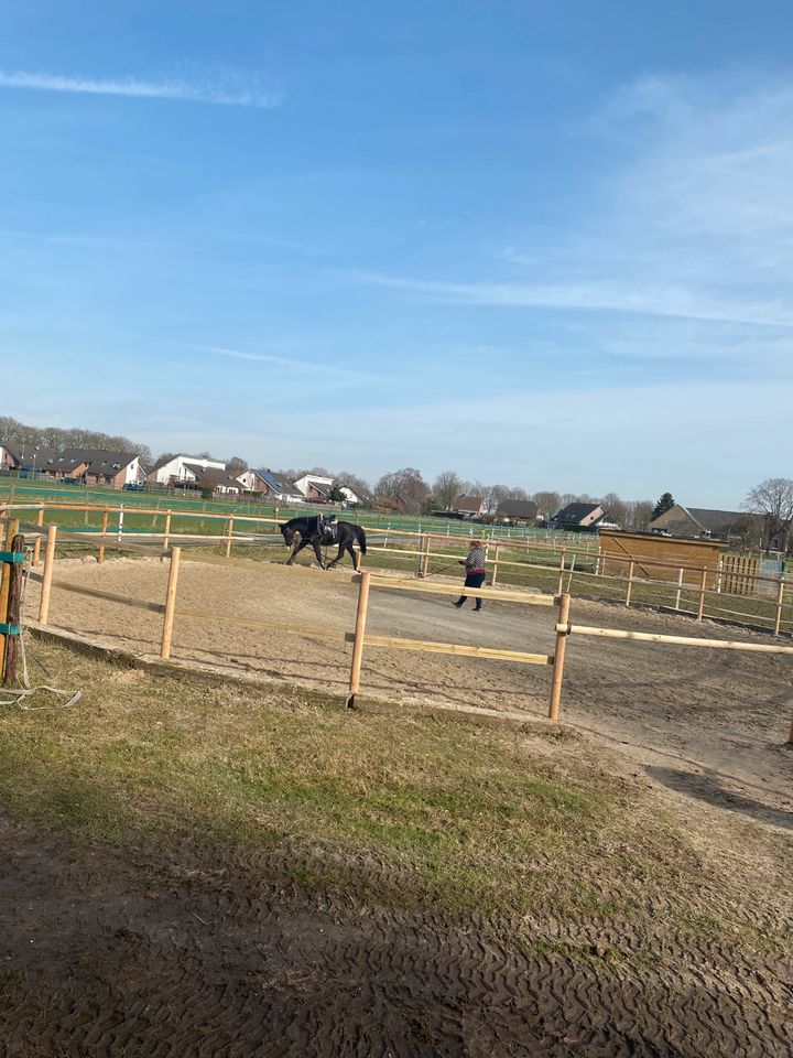 Paddockboxen Pferdeboxen mit Halle in VP in Xanten