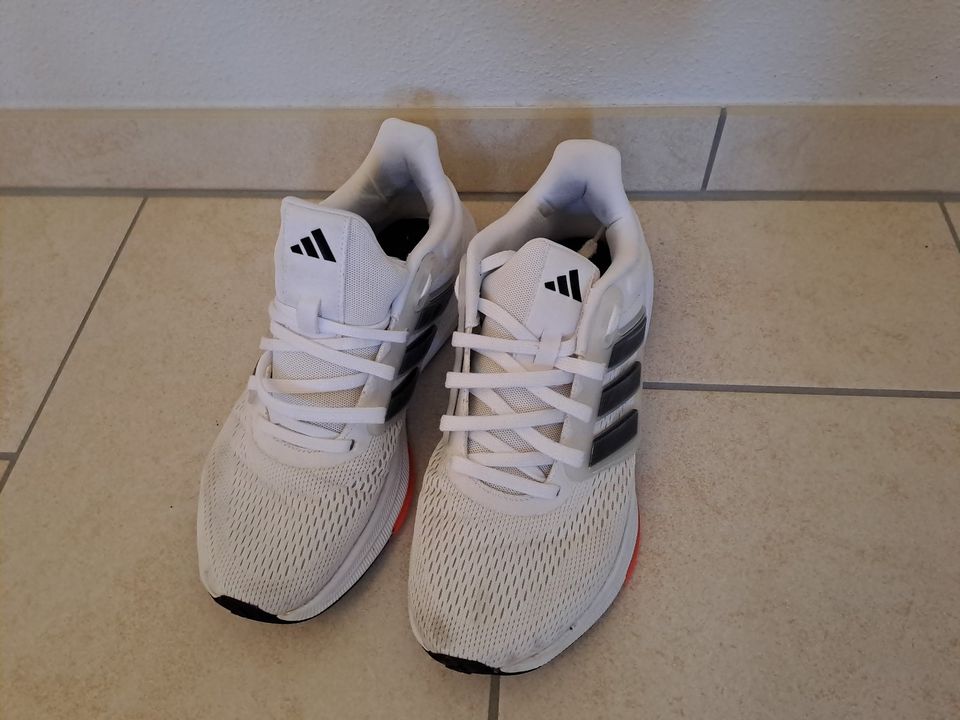 Adidas Herren Laufschuhe Größe 8 bzw. 42 weiß  PWI 001001 in Weida
