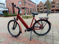 NEU E-Bike Batavus Finez Power Plus 75Nm 750Wh Nordrhein-Westfalen - Everswinkel Vorschau