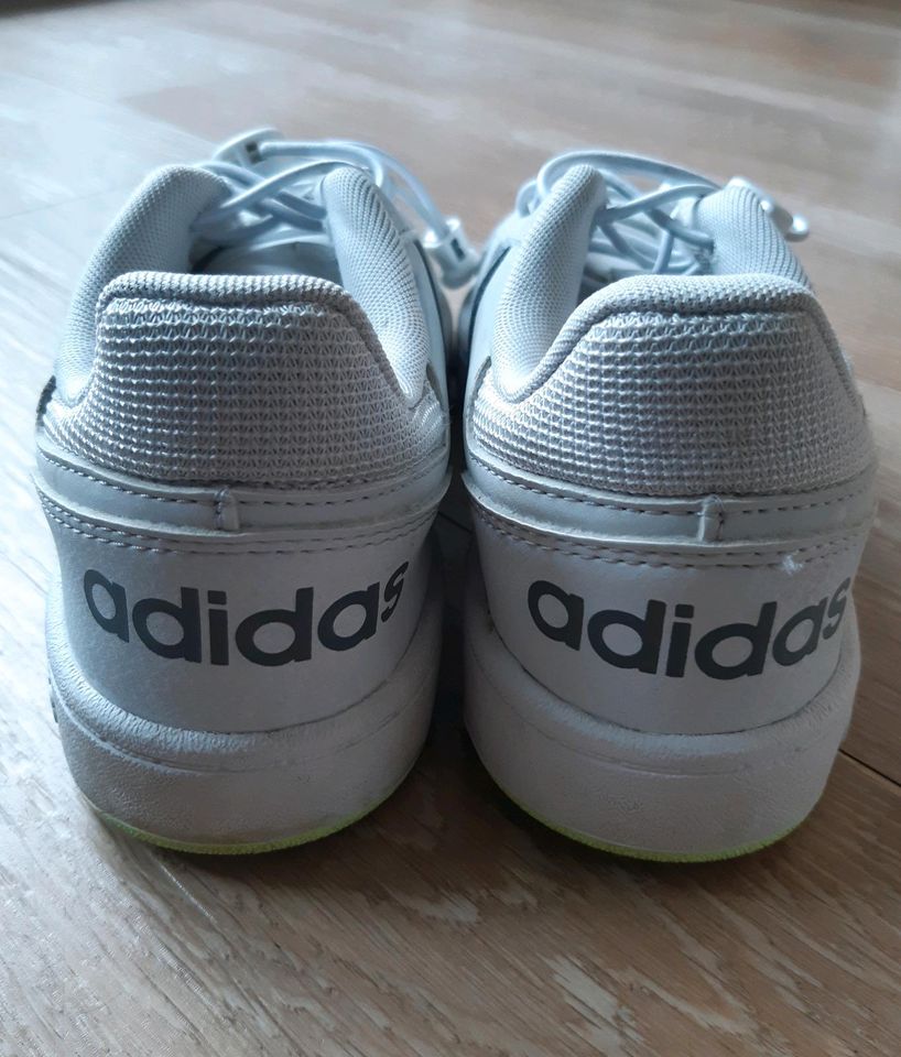 Adidas Sneaker Turnschuhe 36 Schnellverschluss Schnellschnürer in Düsseldorf
